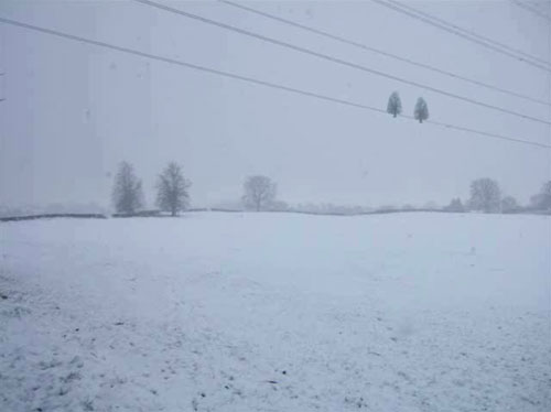 Lynne Williams Winter Field Imaginings